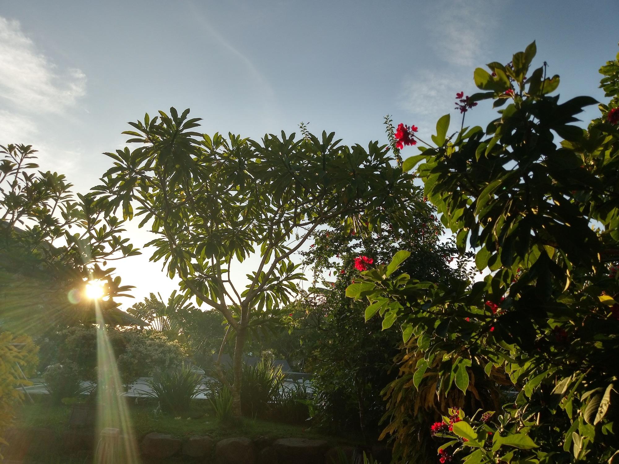Owa Lodge Areguling Kuta  Dış mekan fotoğraf